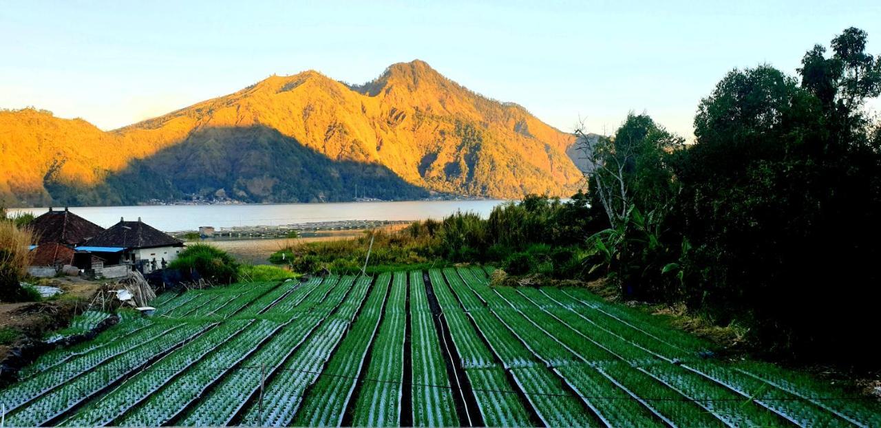Volcano Lake View Kintamani Kültér fotó